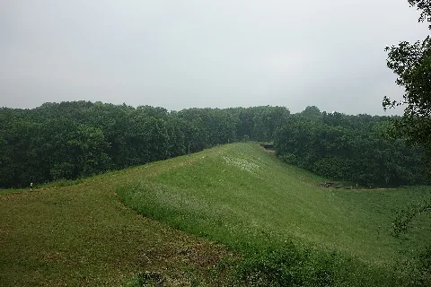 Eringerfeld (Damm)