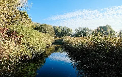 Eriskircher Weg 0137