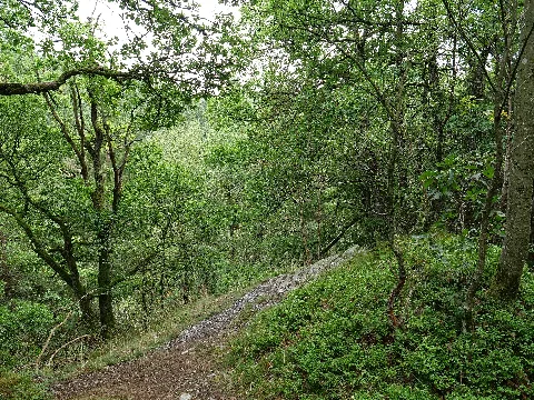 Erkensruhr Valley Near Leykaul 03