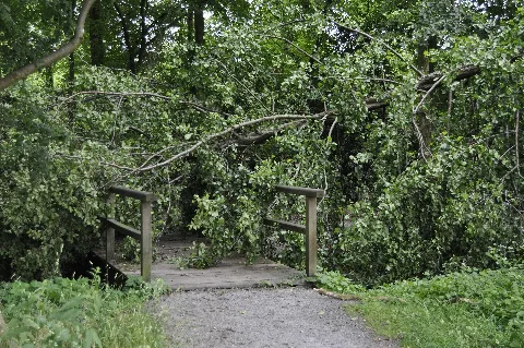Erkrath Way To Düsseldorf Unterbach After The Storm In June 2014 Panoramio
