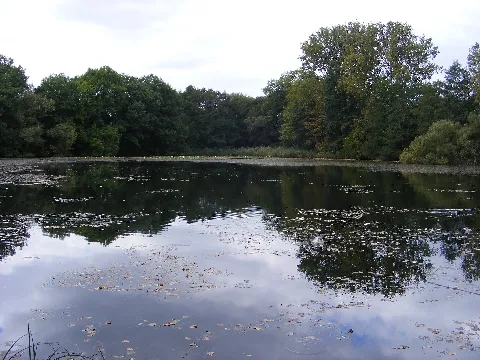 Erlachsee