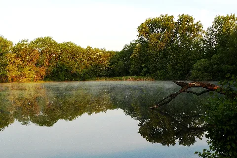Erlachsee Am Morgen