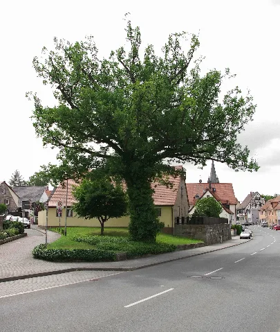 Erlangen Bruck Friedenseiche 001