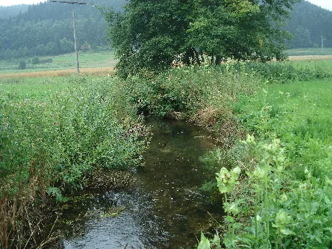 Erpf