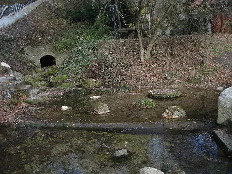 Erpfquelle