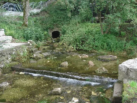 Erpfquelle (Sommer)