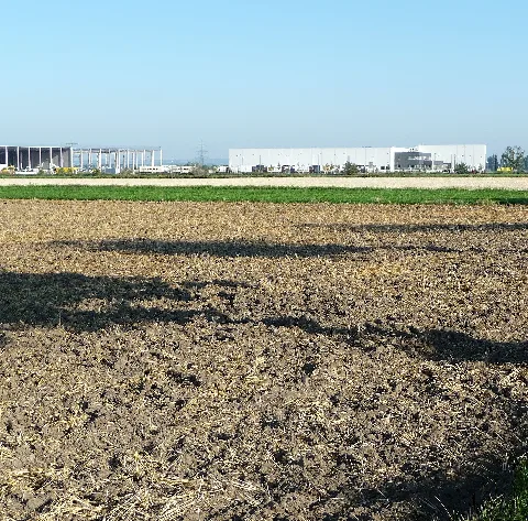 Es Ist Unglaublich, Was Die An Landschaft Fressen. Panoramio