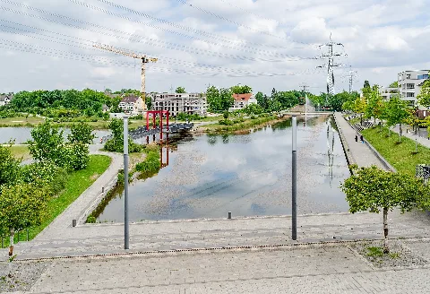 Essen, Niederfeldsee, 2020 05 Cn 03