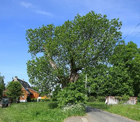 Friedhof Reichenhain