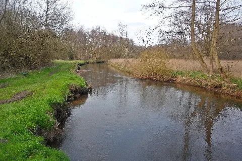 Este Bei Nindorf1