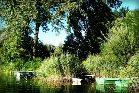 Ettlingenweier Buchtzigsee Bruchhausen Panoramio