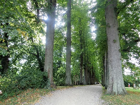 Eutin Lindenallee