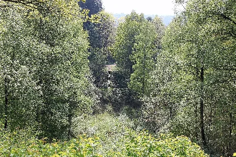 Explosionskrater Prüm 2014