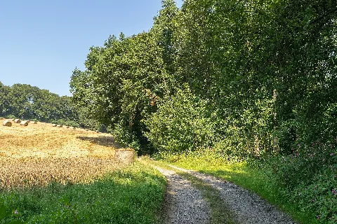 Extertal 2015 08 23 Lip 078 Siekbachtal (11)
