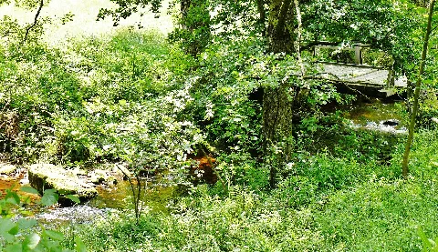 Eyach Panoramio (2)