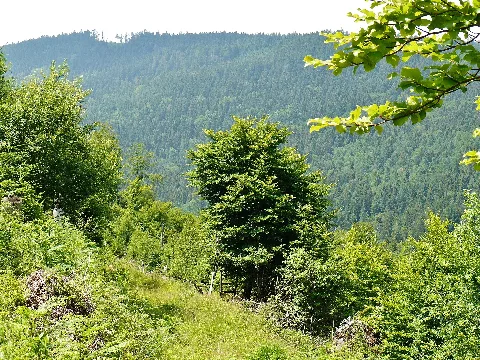 Eyachtal Panoramio