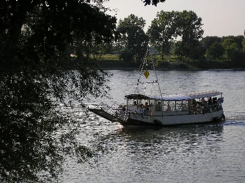 Fähre Krokolino Zündorf
