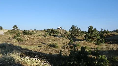Falk Oberdorf Marleens Knoll