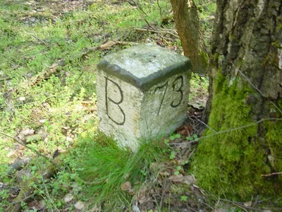 Falkenberger Forst1
