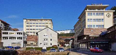 Faller (Gütenbach) 4487