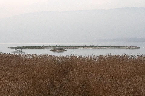 Fanel Vogelinseln