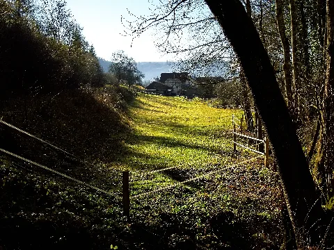 Farm Panoramio (5)