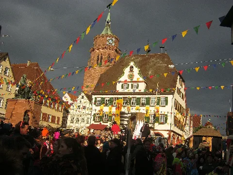 Fasnetsumzug Weil Der Stadt 02032013 4