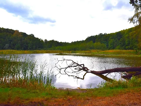 Fauler See, Frankfurt (Oder) Güldendorf