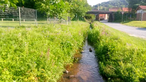 Fechenbach