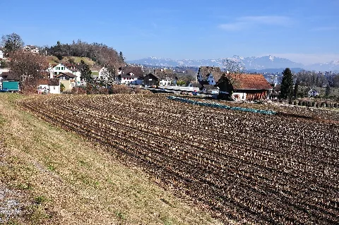Feldbach Img 7853