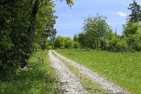 Feldweg Auf Der Gebersackhalde Im Naturschutzgebiet Gebersack