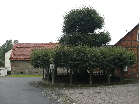Felsberg Hilgershausen Linde
