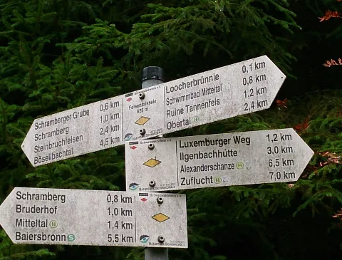 Felsenmissele