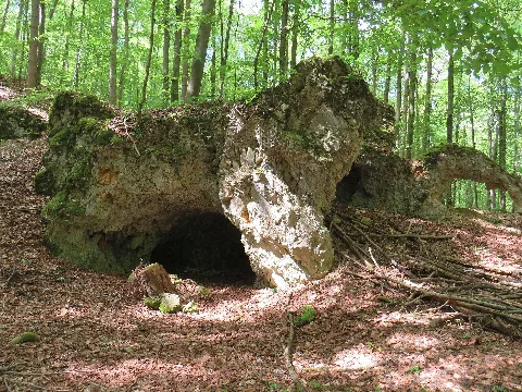 Felsgruppe Im Waldgebiet Sw Von Utzmemmingen