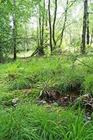 Fernhagener Bach Und Jubachtal 1
