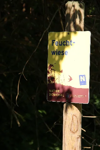 Feuchtwiese Heiligenkreuz 01