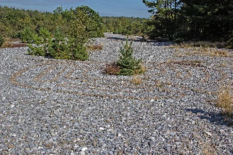 Feuersteinfelder 2012 09 03