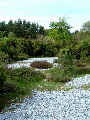 Feuersteinfelder Mukran 01