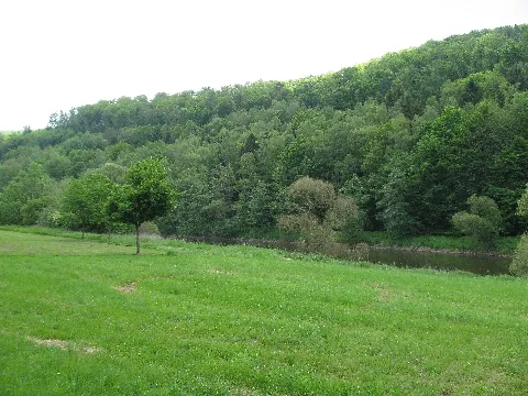 Ffh 4523 331, Fulda Zwischen Wahnhausen Und Bonaforth, 1, Speele, Staufenberg, Landkreis Göttingen
