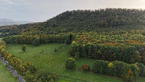 Ffh Gebiet Wartberge Bei Seebach Dji 20231013173433 0033 D