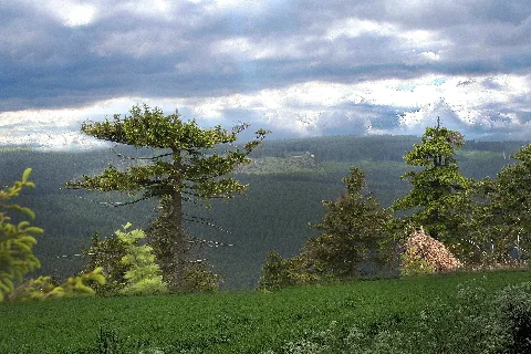 Fichtelberg 01
