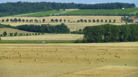 Field At Schönburg