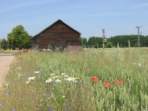 Field nearby Kuhlowitz. The village Kuhlowitz is an incorporated part of the town Belzig in the district Potsdam Mittelmark, state Brandenburg, Germany.