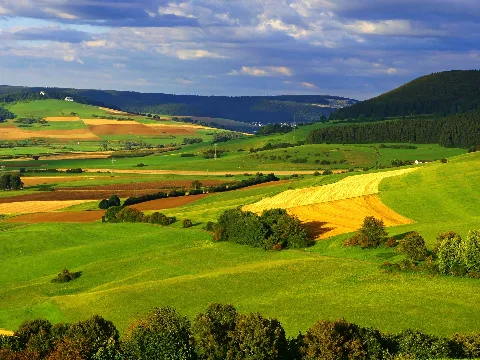 Fields Panoramio (41)