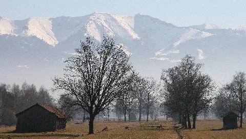 Firstberge2