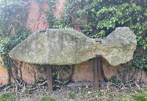 Fisch Von Thomas Virnich, 1997