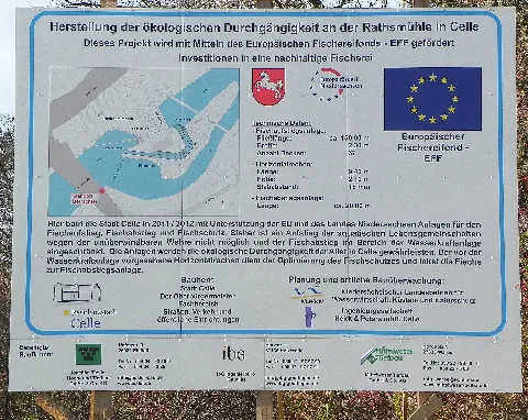 Fischaufstieg Celle