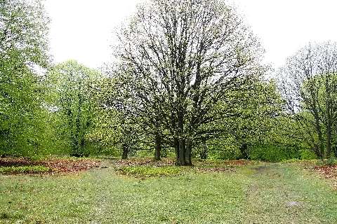 Fischbecker Heide 01