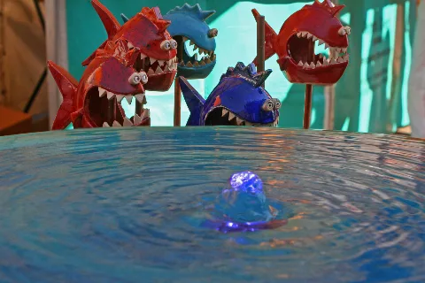 Fische Auf Dem Wasser... Panoramio