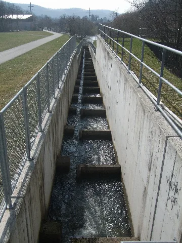 Fischtreppe An Der Wiese 01
